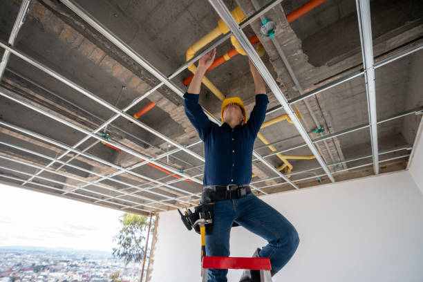 Best Affordable Plumbing Services  in Bells, TN